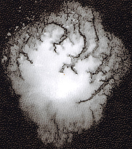 File:Sio2 130m2 per gram under blue book 1600dpi.jpg