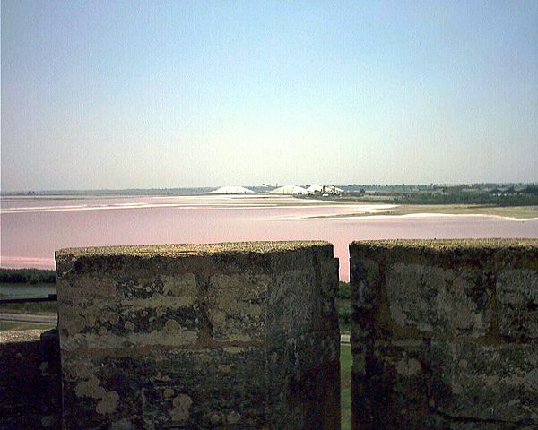 File:Aigues-Mortes2.jpg