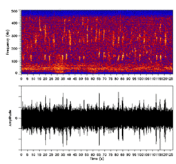 Two spectral images with X axis being time. In one, the Y axis is frequency and there is a complicated pattern in the 10&ndash;450 Hz region. In the other, the Y axis is amplitude, which is largely constant but with many small spikes.