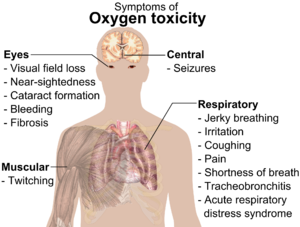 A diagraph showing a man torso and listing symptoms of oxygen toxicity: Eyes&nbsp;&ndash; visual field loss, near)sightedness, cataract formation, bleeding, fibrosis; Head&nbsp;&ndash; seizures; Muscles&nbsp;&ndash; twitching; Respiratory system&nbsp;&ndash; jerky breathing, irritation, coughing, pain, shortness of breath, tracheobronchitis, acute respiratory distress syndrome.