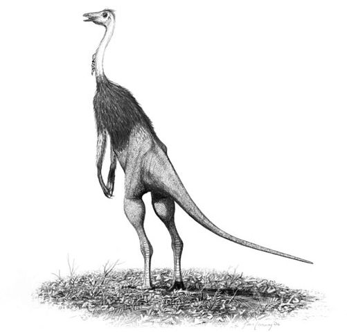 File:Struthiomimus altus jconway.jpg