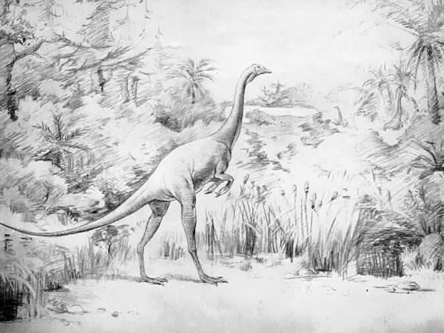 File:Struthiomimus.jpg