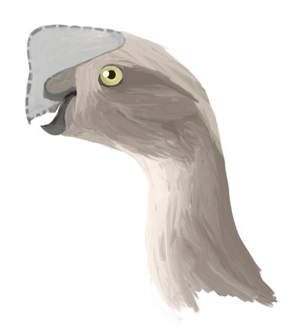 File:Oviraptor digital1.jpg