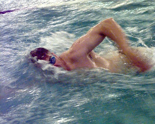 File:FrontCrawlSwimming.JPG