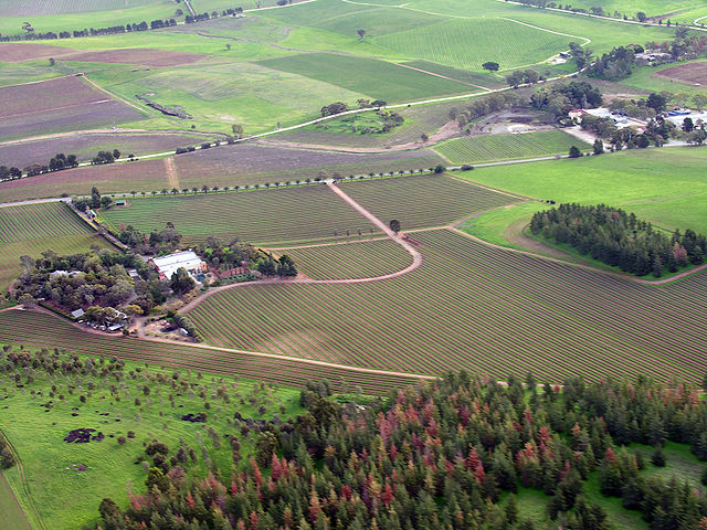 File:Barossa Valley South Australia.jpg