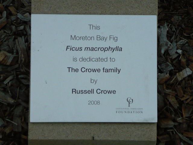 File:Crowe1.JPG