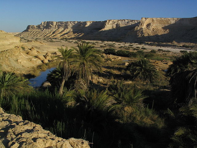 File:Oman-Oasis.jpg