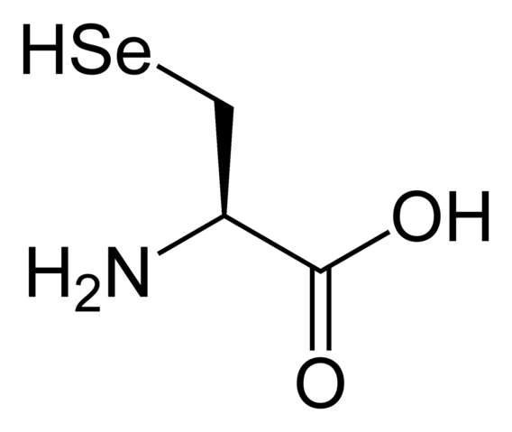 File:L-selenocysteine-2D-skeletal.png