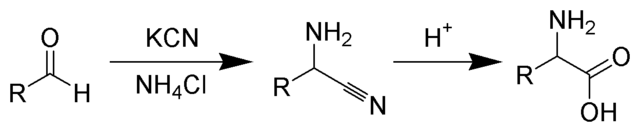 File:Strecker Amino Acid Synthesis Scheme.png