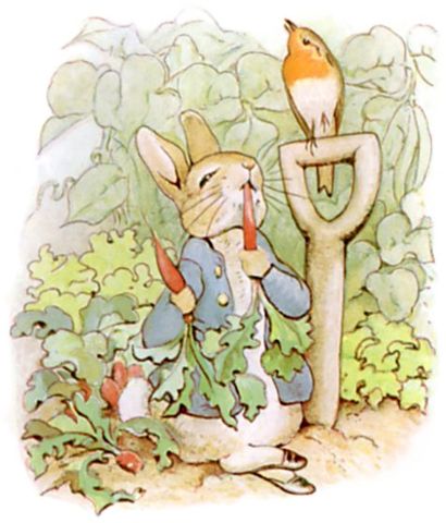 File:TaleofPeterRabbit8.jpg