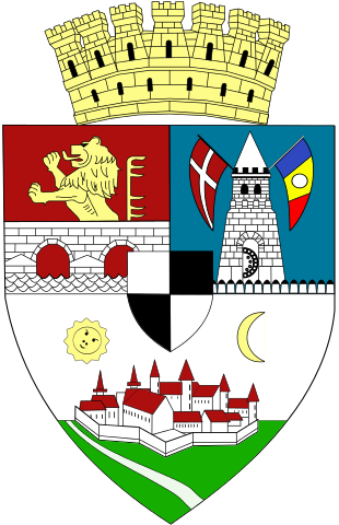 File:Stema Timisoara.svg
