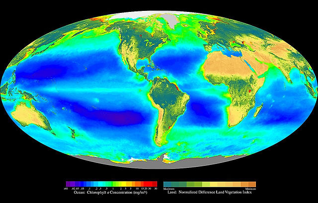 File:Seawifs global biosphere.jpg