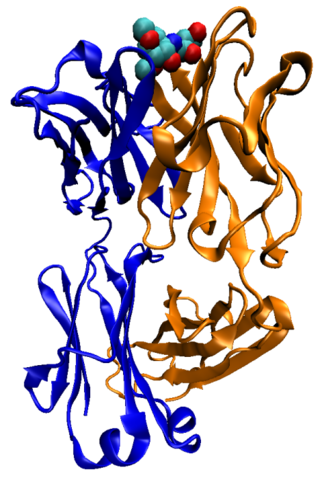 File:Mouse-cholera-antibody-1f4x.png