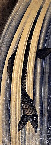 File:Carp leaping up a cascade.jpg