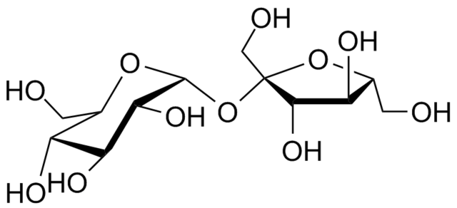 File:Sucrose 3Dprojection.png