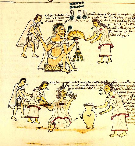 File:Aztec5figure9.jpg