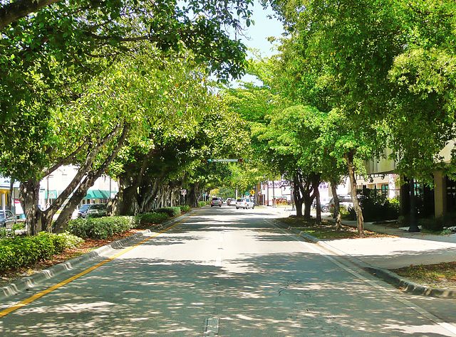 File:Coral Way Miami 20100430.jpg