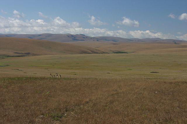 File:Nyika grassland.jpg