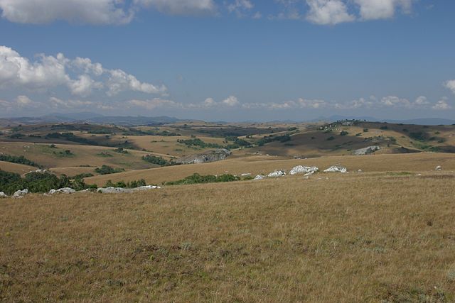 File:Nyika typical.jpg