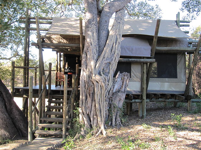 File:Tent in tamboti camp.jpg