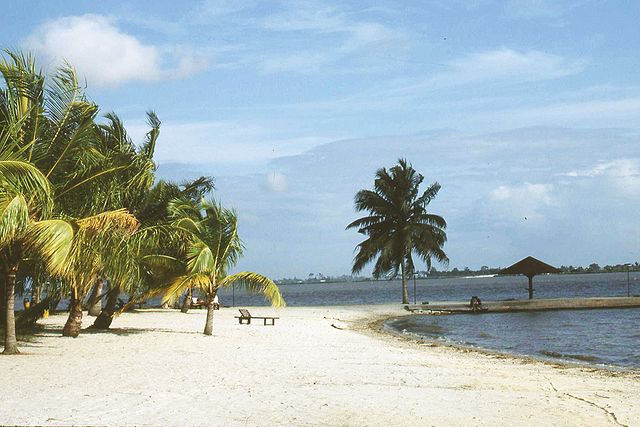 File:Plagecocody.jpg