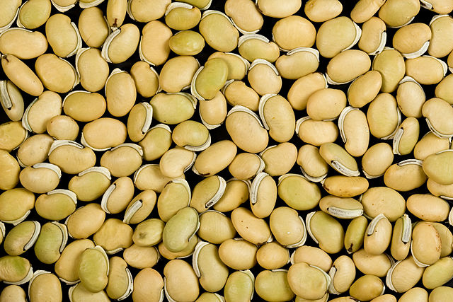 File:Val Beans.jpg
