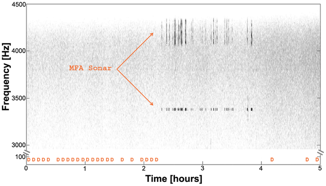 File:Example of Blue Whales' D calls in presence of MFA sonar - Melc&oacute;n et al. 2012.png
