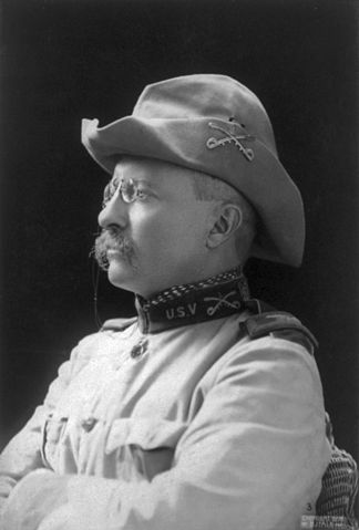 File:Theodore Rooseveltnewtry.jpg