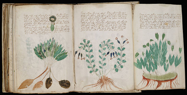 File:Voynich Manuscript (170).jpg