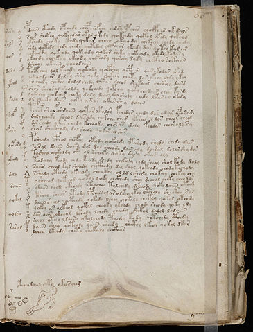 File:Voynich Manuscript (119).jpg