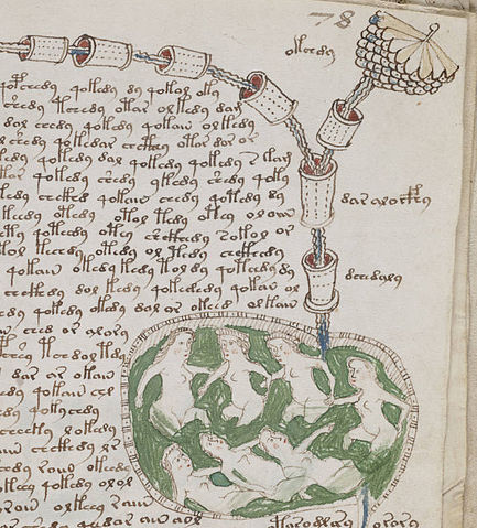 File:Voynich manuscript bathtub2 example 78r cropped.jpg