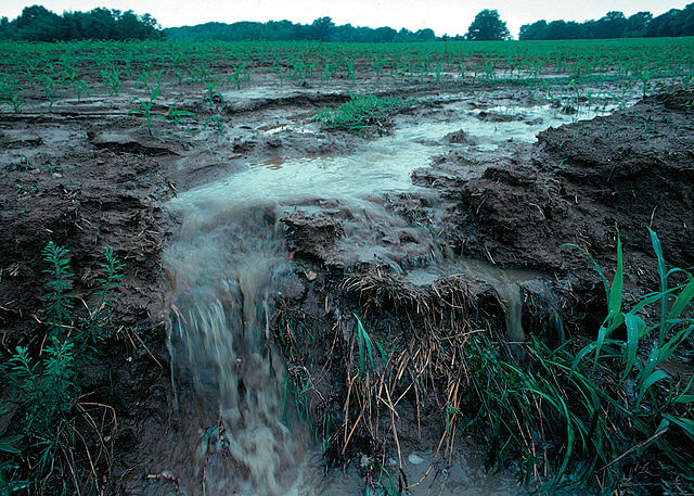 File:Runoff of soil & fertilizer.jpg