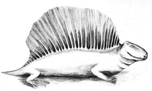 File:PSM V73 D566 Restoration of dimetrodon.png