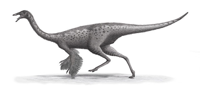 File:Gallimimus Steveoc86.jpg