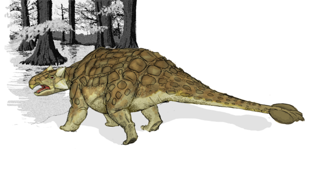 File:Ankylosaurus dinosaur.png