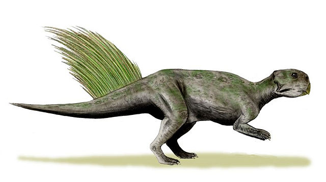 File:Psittacosaurus mongoliensis whole BW.jpg