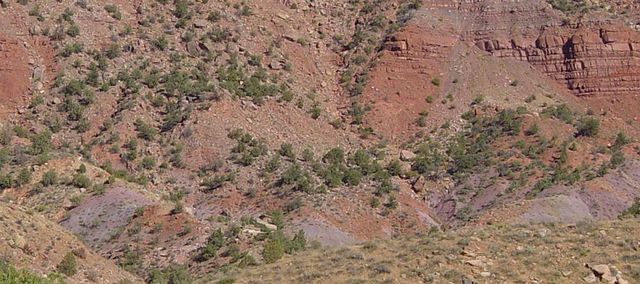 File:Chinle Formation near Springdale, Utah.jpeg