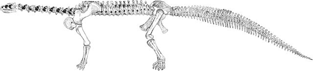 File:OsbornMook1921-plate-LXXXII-ryder-camarasaurus.jpg