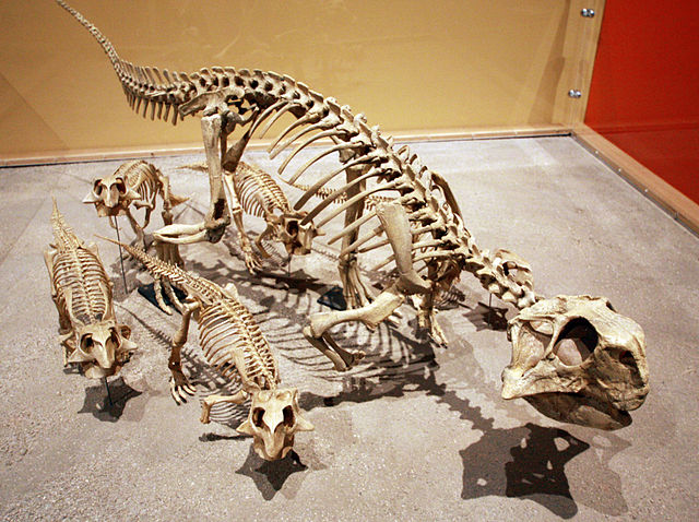File:Psittacosaurus family.jpg