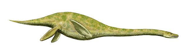 File:Muraenosaurus BW.jpg