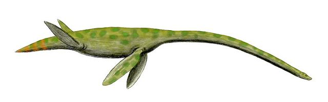 File:Styxosaurus BW.jpg