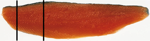 File:Journal.pone.0019032.g001 trout filet.png