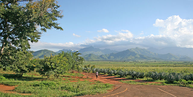 File:Mt Uluguru and Sisal plantations.jpg