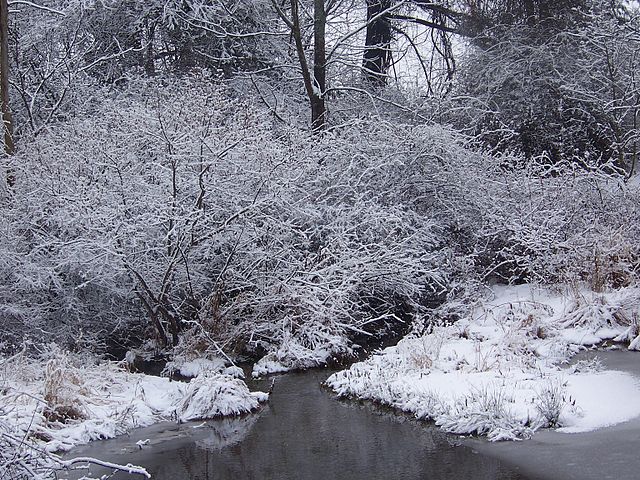 File:Winter December 2007 with Pond.jpg