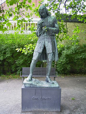 File:Carl von Linn&eacute; i Lund.jpg