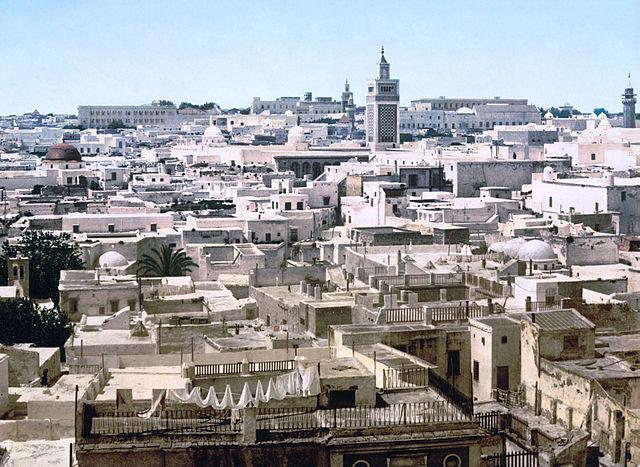 File:Tunisia view 1890s2.jpg