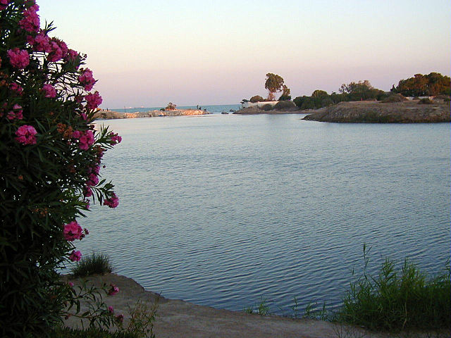 File:Port circulaire laurier rose.jpg