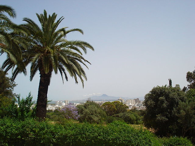 File:Belv&eacute;d&egrave;re - Tunis.jpg