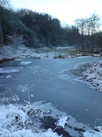 File:Winter frozen lake.JPG