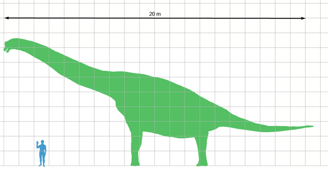 File:Brachiosaurus scale.png